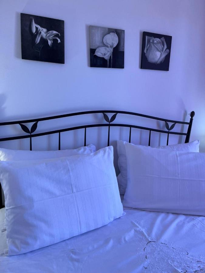 Apartman Gorana With Swimming Pool Елса Экстерьер фото